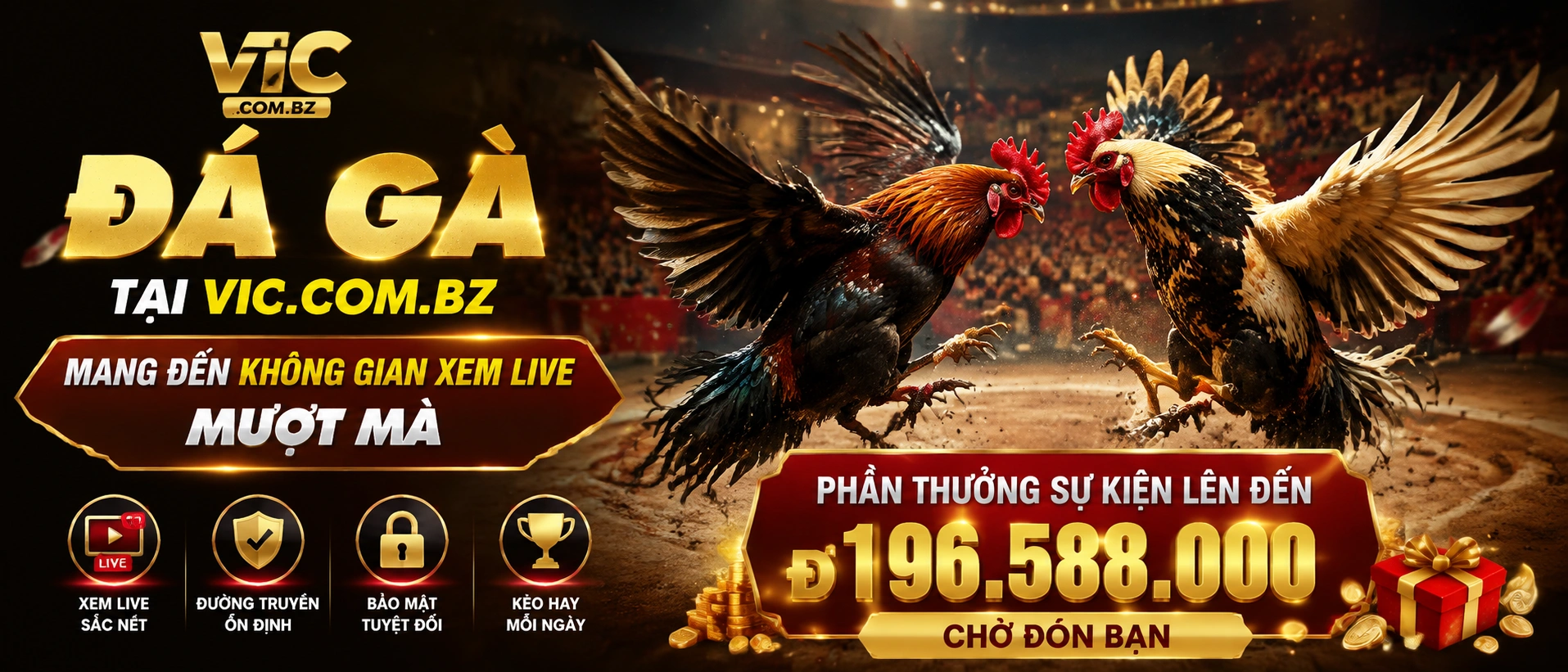 Đá Gà trực tiếp trên mobile